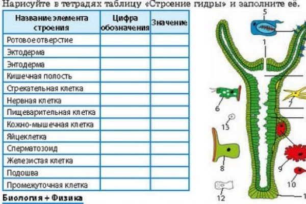 Где взять ссылку на кракен