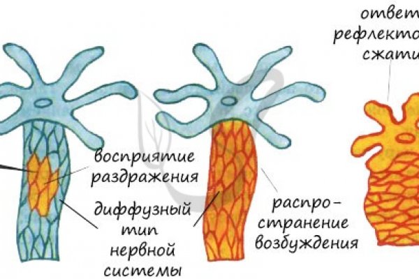 Kra38.at