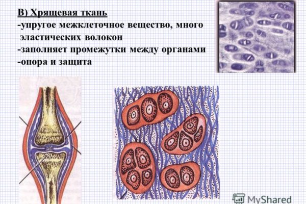 Kraken зеркало даркнет