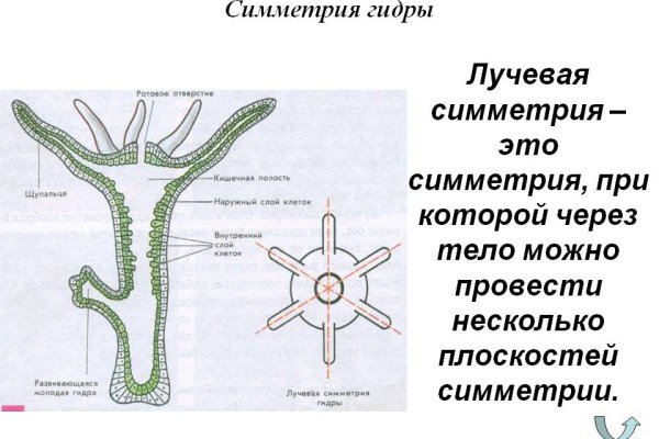 Где взять ссылку кракена